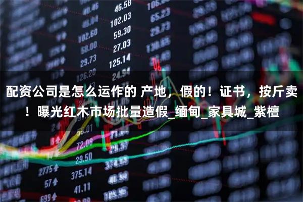 配资公司是怎么运作的 产地，假的！证书，按斤卖！曝光红木市场批量造假_缅甸_家具城_紫檀